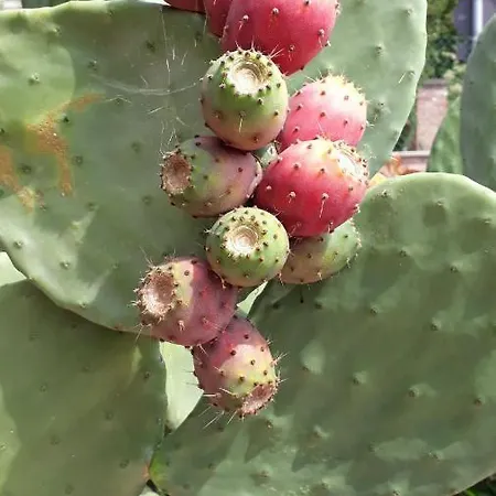 Un Passo Volta Apartament