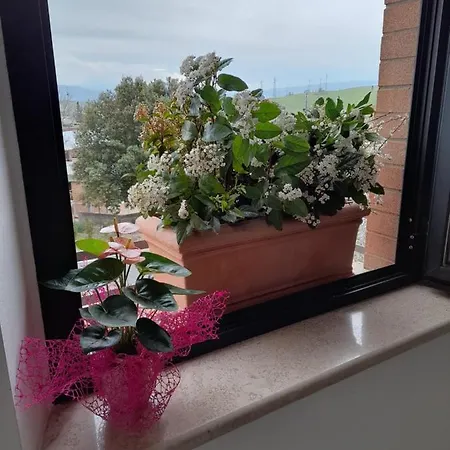 Un Passo Volta Torrenieri