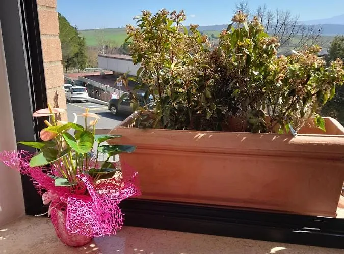 דירה Un Passo Volta *