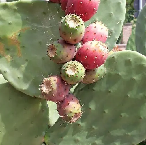 Un Passo Volta Апартаменты