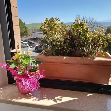 Apartment Un Passo Volta *