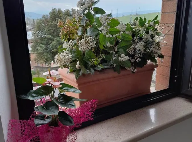 Un Passo Volta Torrenieri